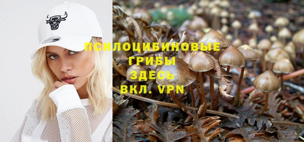 прущие крисы Михайловск